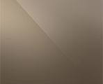 bronze mirror swatch